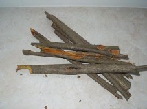 Frangula Kora - Frangulae Cortex