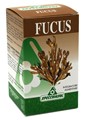 Alga Fucus - smeđa alga