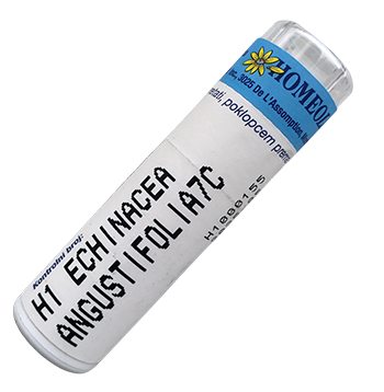 Echinacea Angustifolia - Imunitet