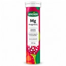 Encian Mg Magnezij 20 šumećih tableta