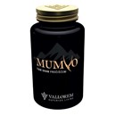 Mumyo Tian Shan Pročišćeni 60 tableta