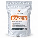 Proteos Micellar Casein 
