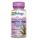 Solaray Mastika (Mastic Gum) 1000 mg 45 kapsula