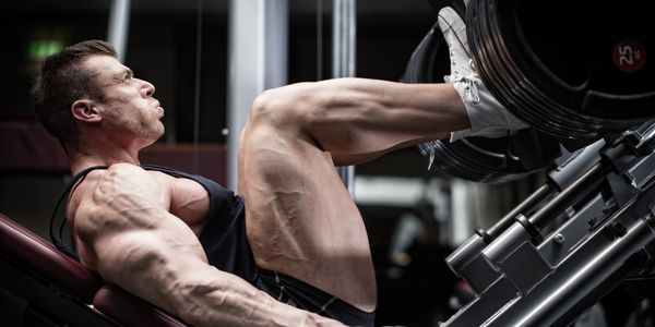 Najvažniji mišići donjeg dijela tijela i najbolje vježbe - Proteka