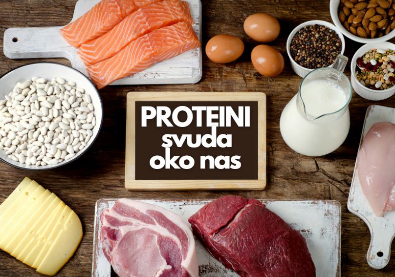 Što su proteini?
